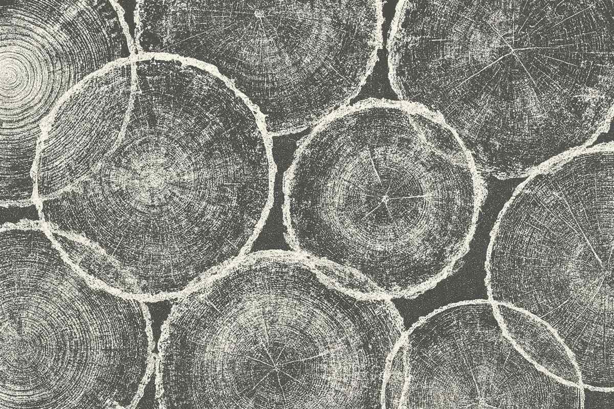 Fototapeta Słoje drzewne są szare.