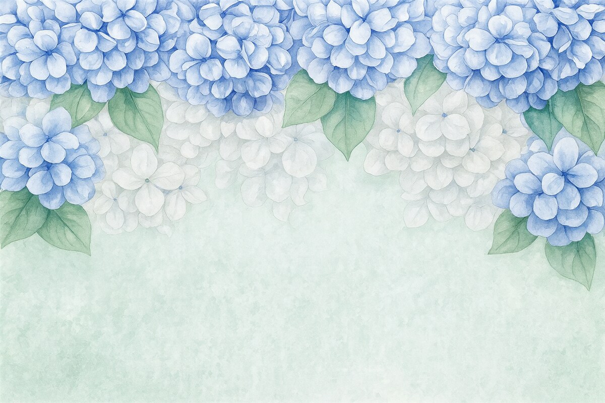 Fototapeta kwiaty hortensji, kwiaty w odcieniu niebieskim, kwiaty z gór, obszerne kwiaty