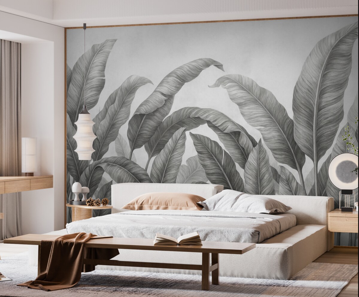 Fototapeta liście, liście bananowca, szare liście, wielkie liście