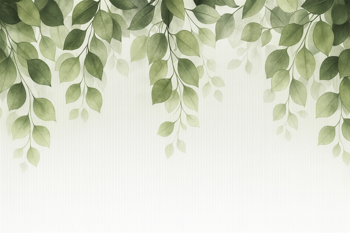 Fototapeta Liście eukaliptusa za szybą.