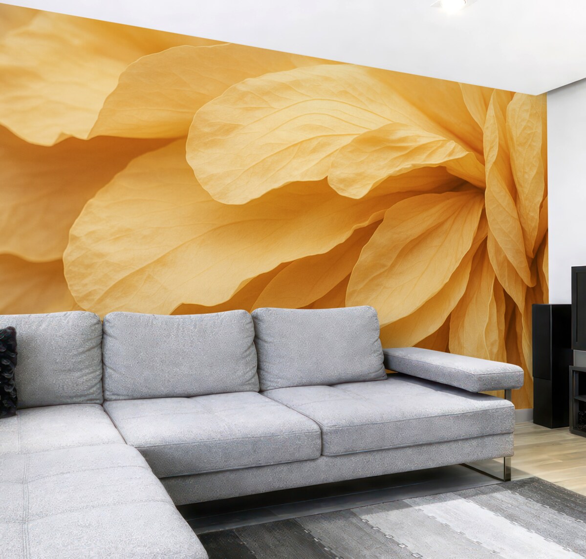 Fototapeta Kadr na płatki Maro w odcieniach beżowo-pomarańczowych.