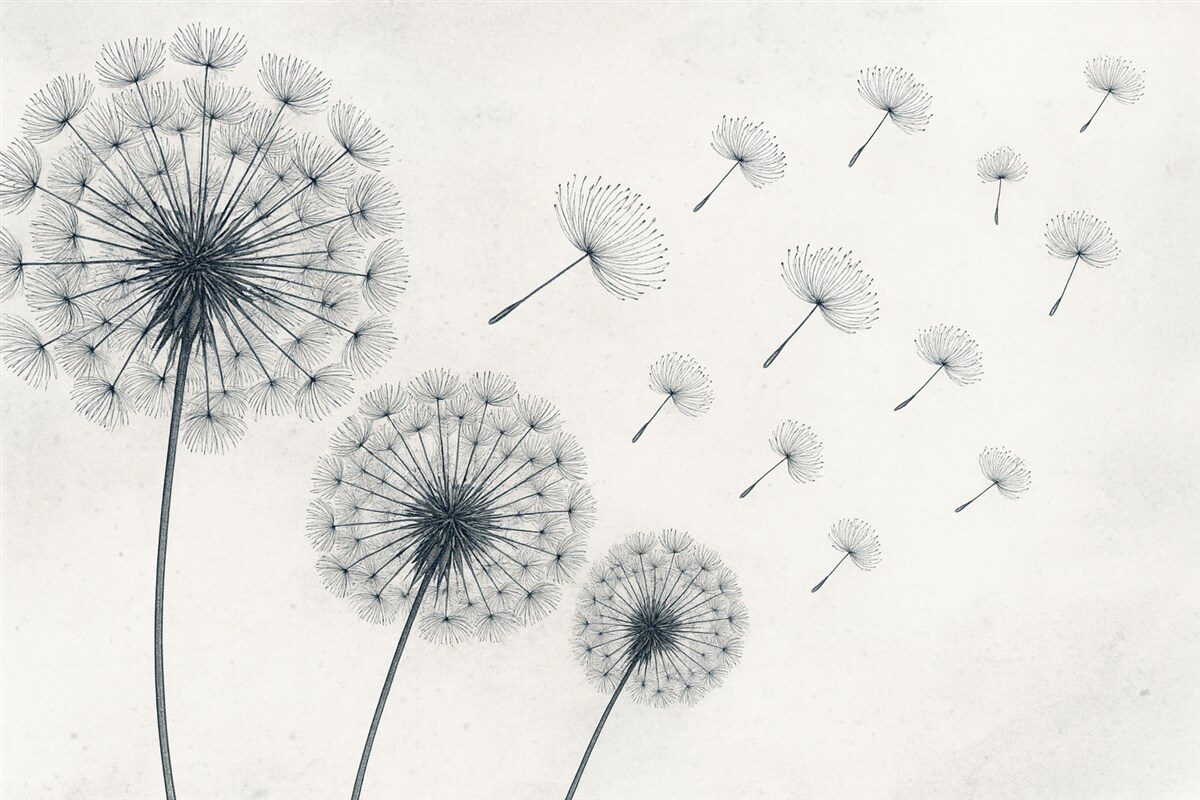 Fototapeta Niebieski mlecz na jasnobeżowym tle o teksturze.