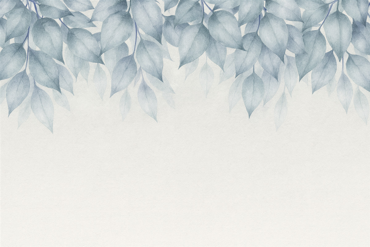 Fototapeta Ogromne niebieskie liście z wierzchu.