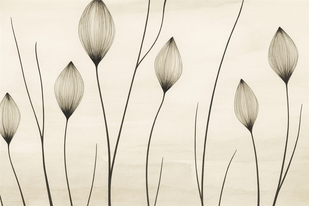 Fototapeta Abstrakcyjne pączki kwiatowe w minimalistycznym dizajnie.