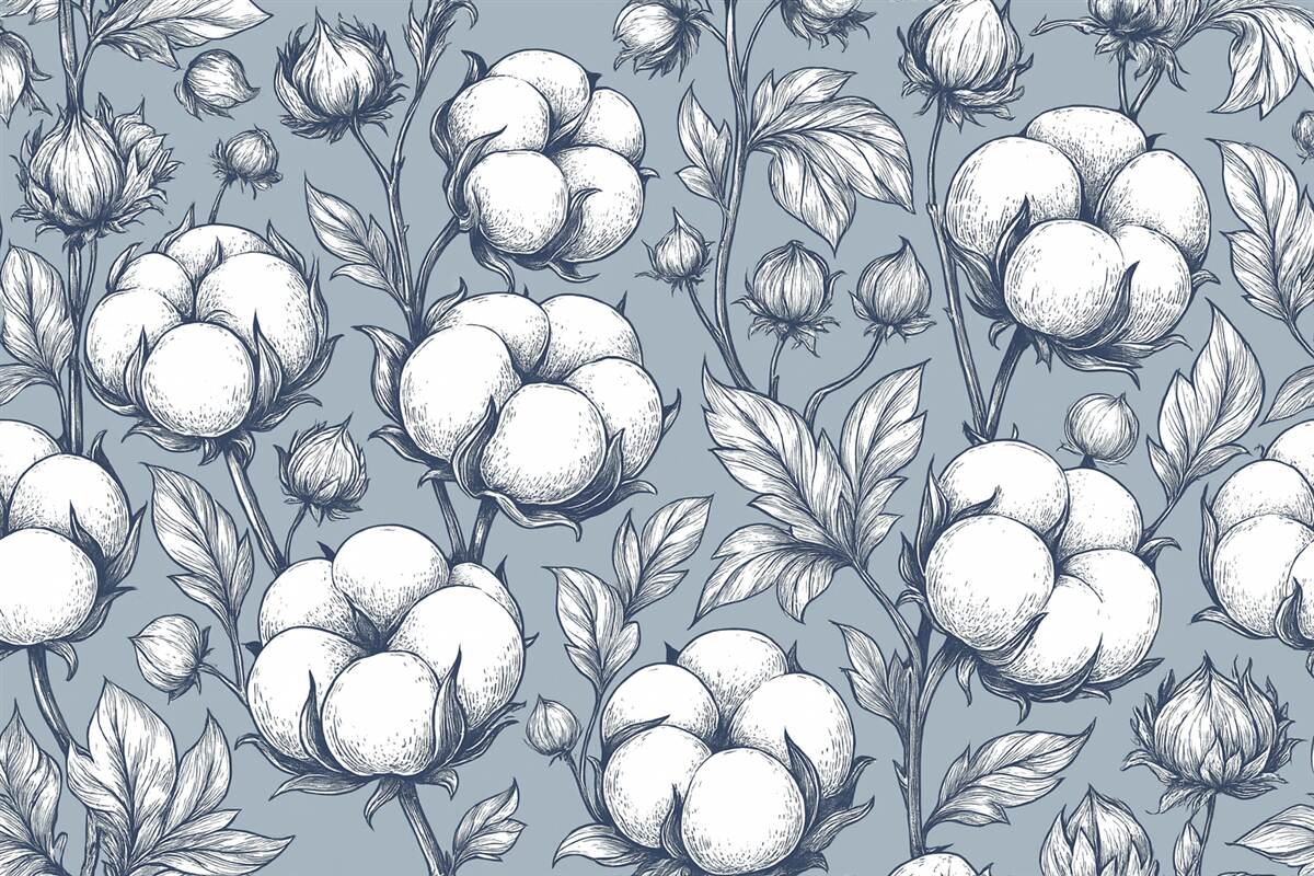 Fototapeta Bawełniane kwiaty na subtelnym niebieskim tle.