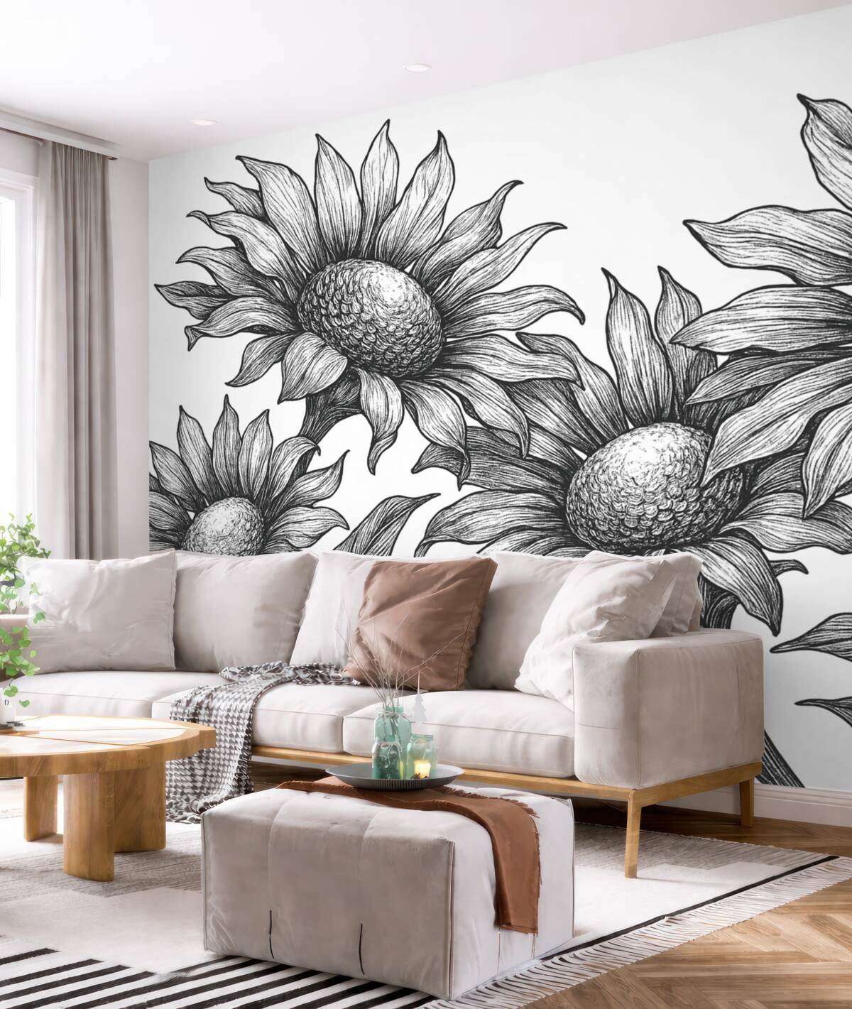 Fototapeta Wielkie kwiaty chryzantem, w szeregach, w ciemnoszarych tonach.