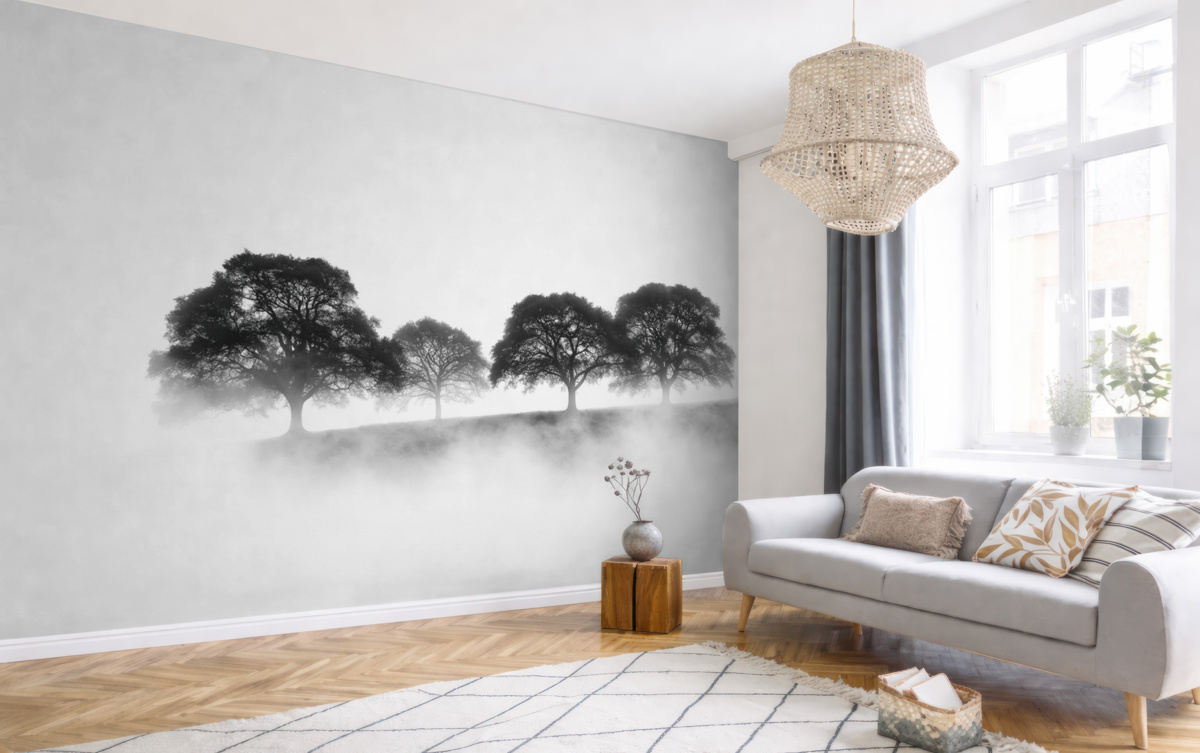 Fototapeta Drzewa na pagórku, prostota, przyroda, monochromatyczny.