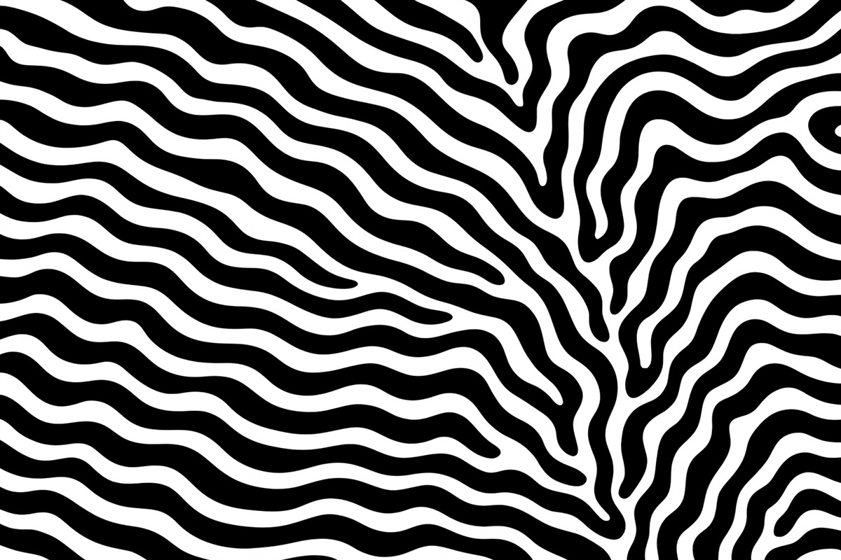 Fototapeta Pasiaste wzory zebr.