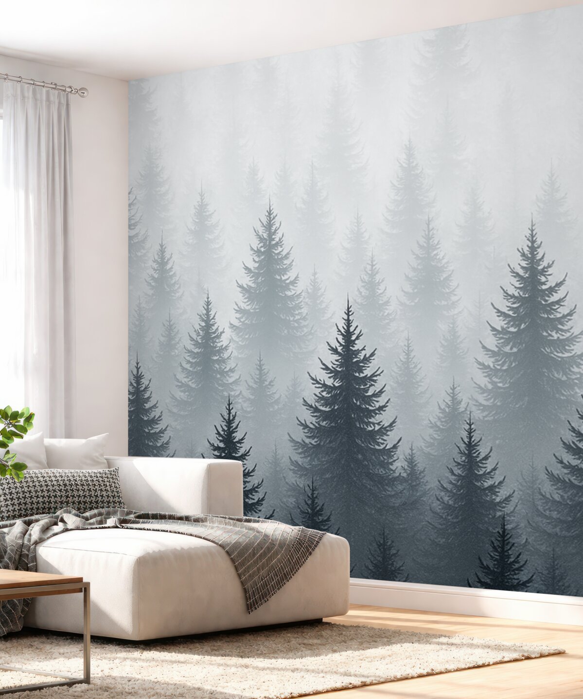 Fototapeta Las sosnowy w mgle.