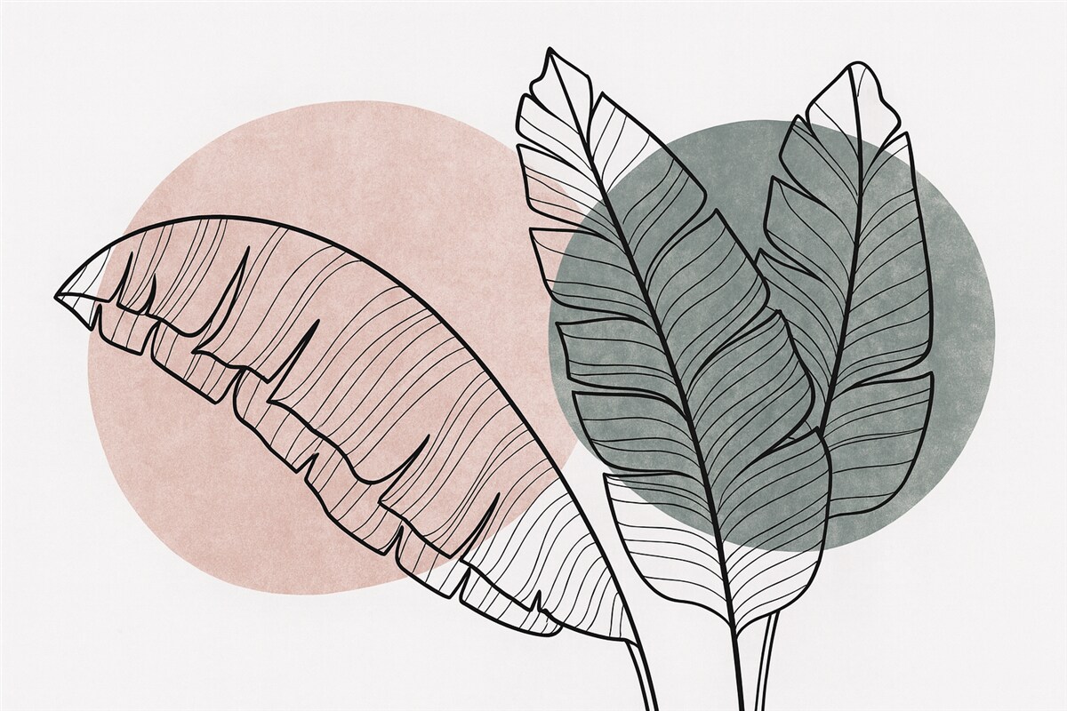 Fototapeta Liście palmy bananowej rysunek linii na różowej i zielonej plamie wzoru.