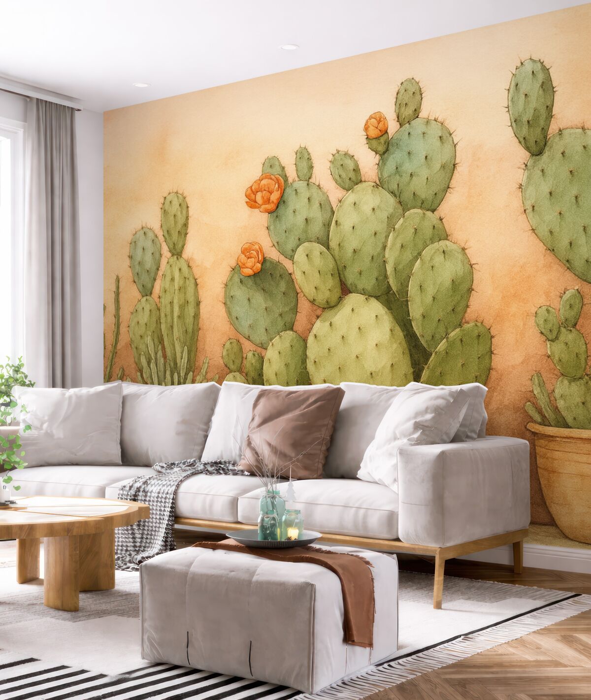 Fototapeta Kaktusy w pojemnikach przy murze.