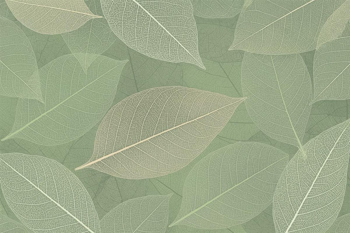 Fototapeta zbliżenie liści z nerwami w jasnych odcieniach zieleni