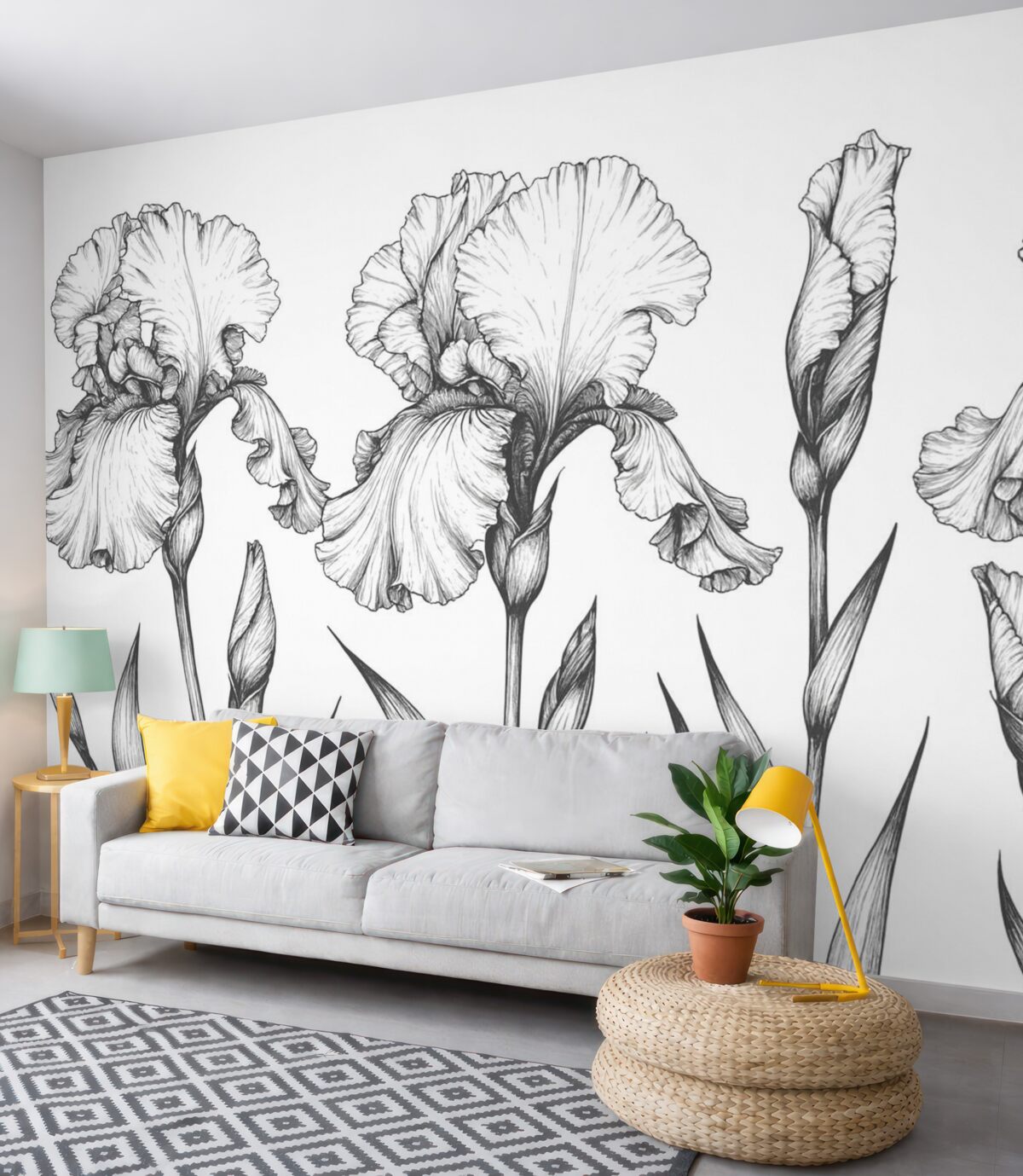 Fototapeta Wizualne przedstawienia tęczówek.