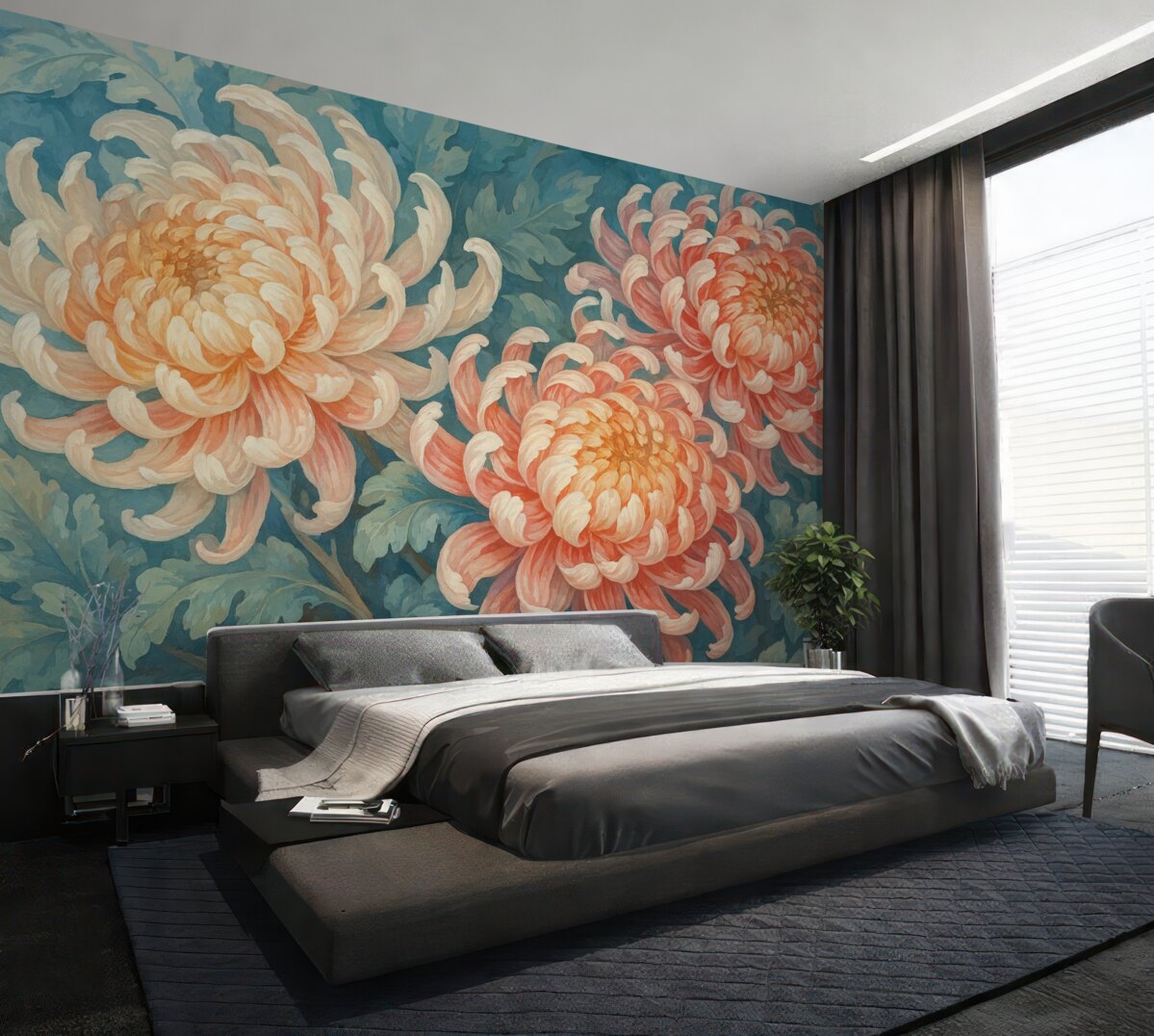 Fototapeta Wielkie kwiaty chryzantemy.