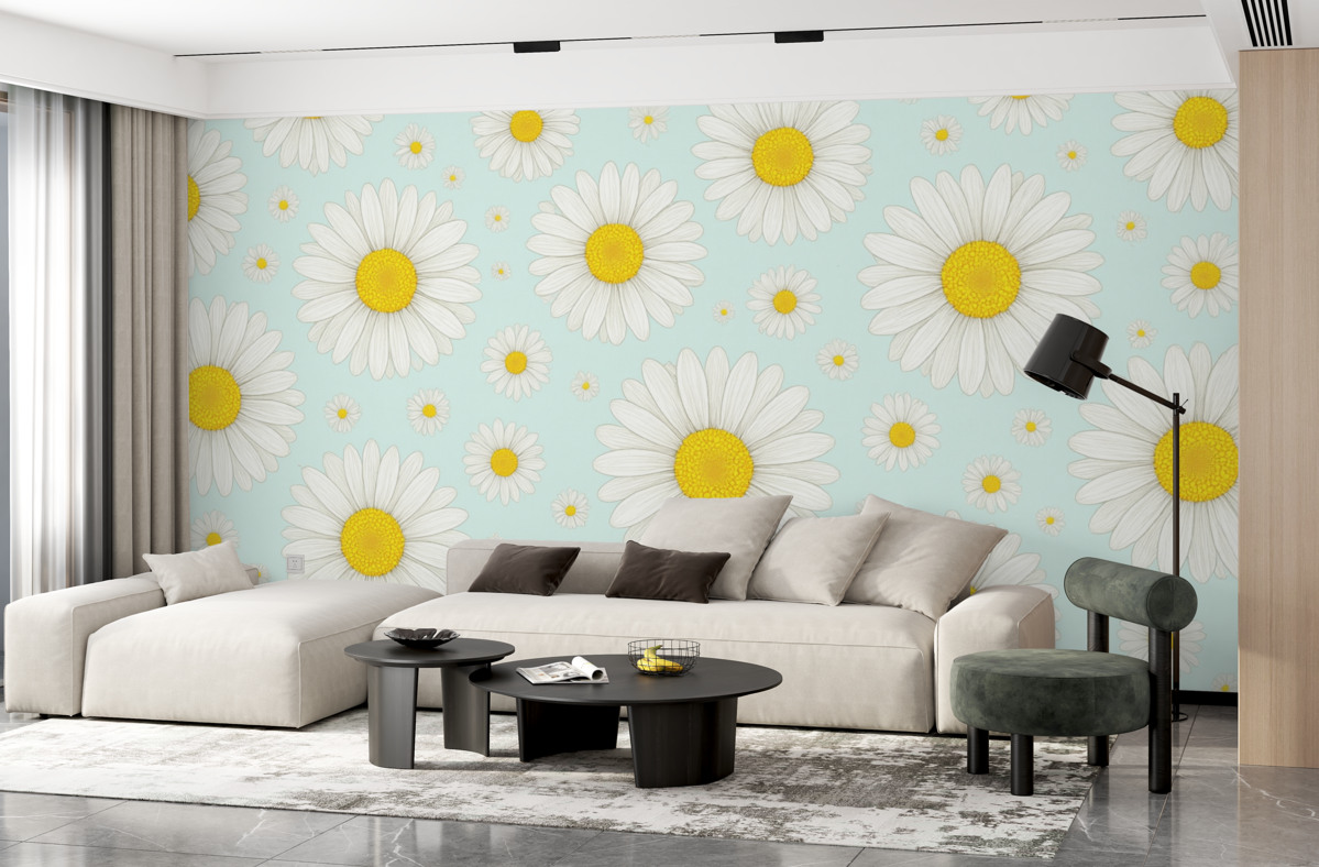 Fototapeta Białe stokrotki na błękitnym tle.