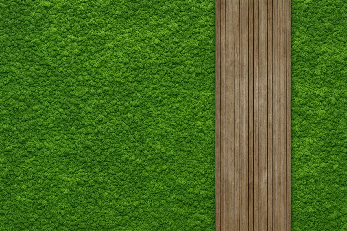 Fototapeta Ściana w stylistyce mchu z drewnianą płytą, intensywne zielone odcienie.
