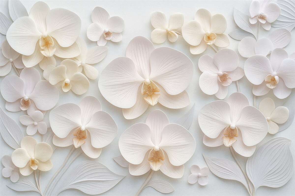 Fototapeta Subtelne kwiaty archidii w jasnych odcieniach z efektem 3D.