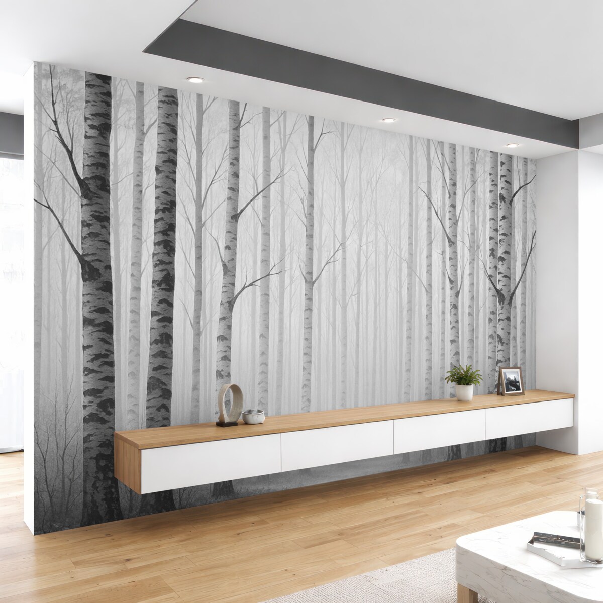 Fototapeta Brzozowy las.