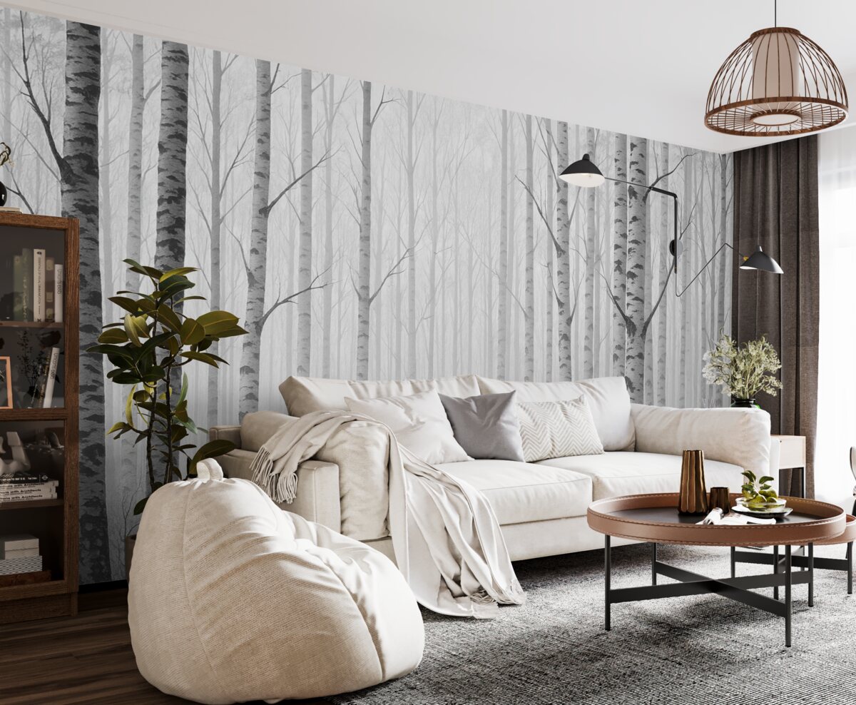 Fototapeta Brzozowy las.