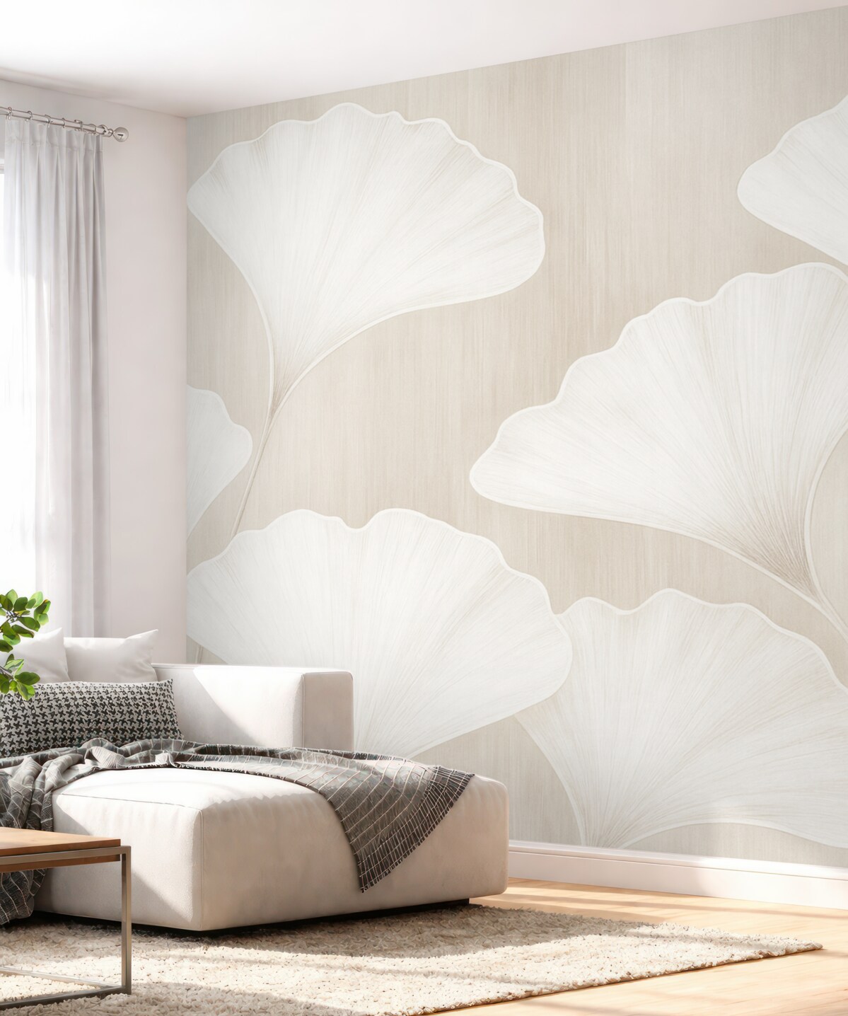 Fototapeta Liście ginkgo biloba.