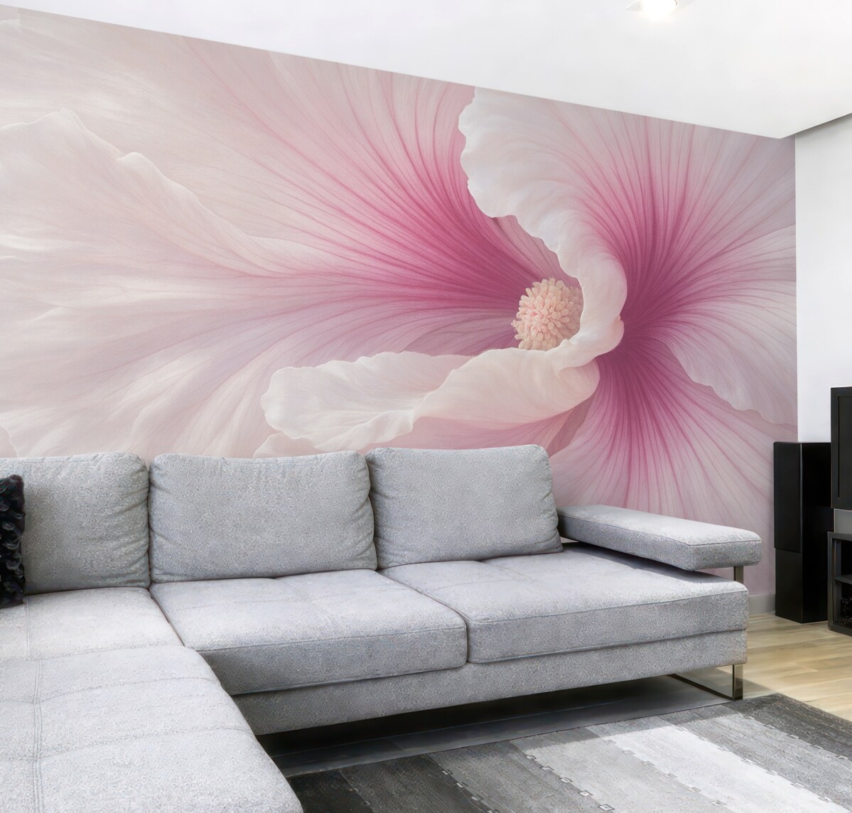 Fototapeta Kwiat biały i różowy z bliska.