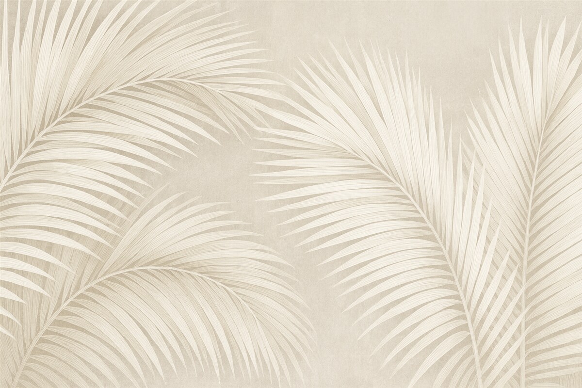 Fototapeta Białe liście drzewa palmowego.