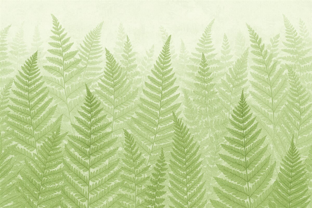 Fototapeta Tendencja roślin paproci.