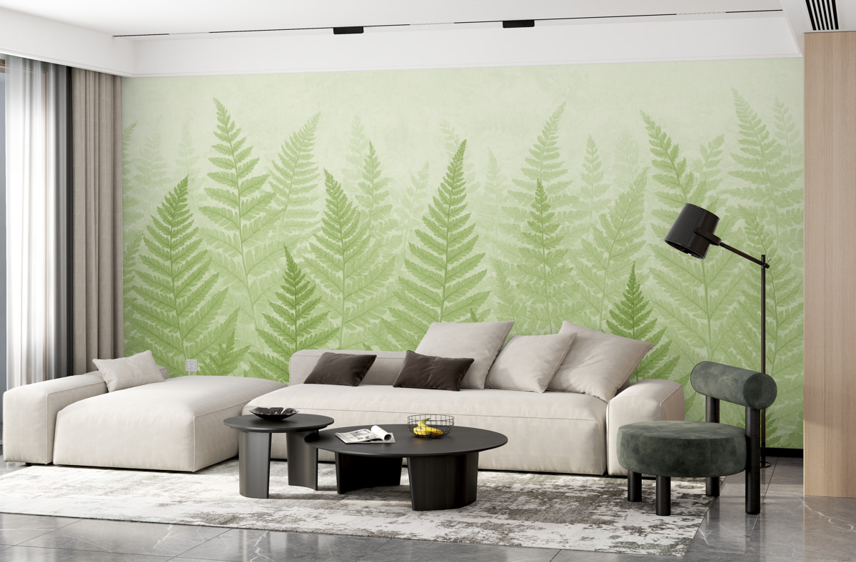 Fototapeta Tendencja roślin paproci.