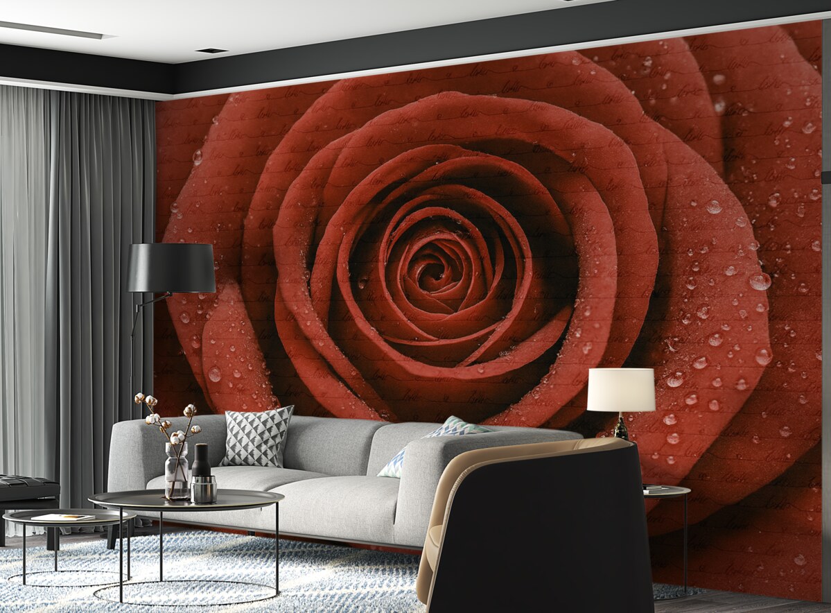 Fototapeta Róża oraz napis Miłość.