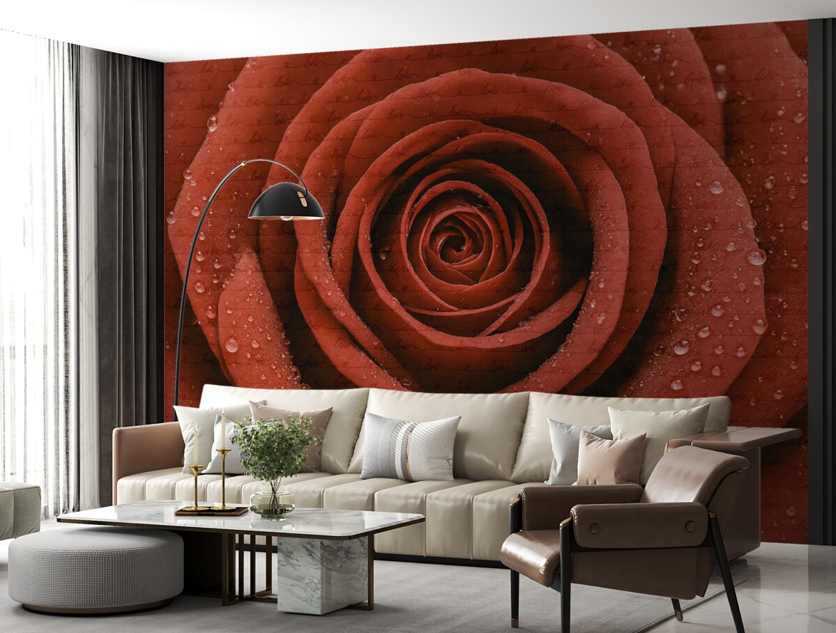 Fototapeta Róża oraz napis Miłość.