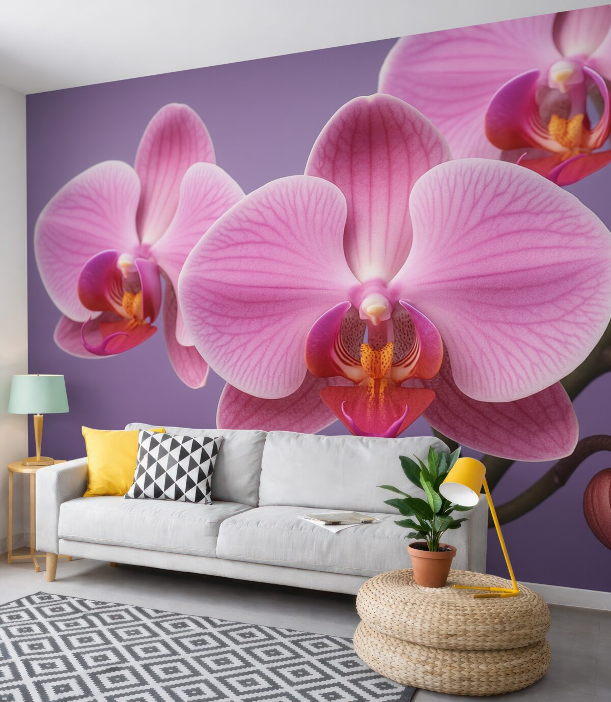 Fototapeta Zjawiskowy kwiat orchidei.