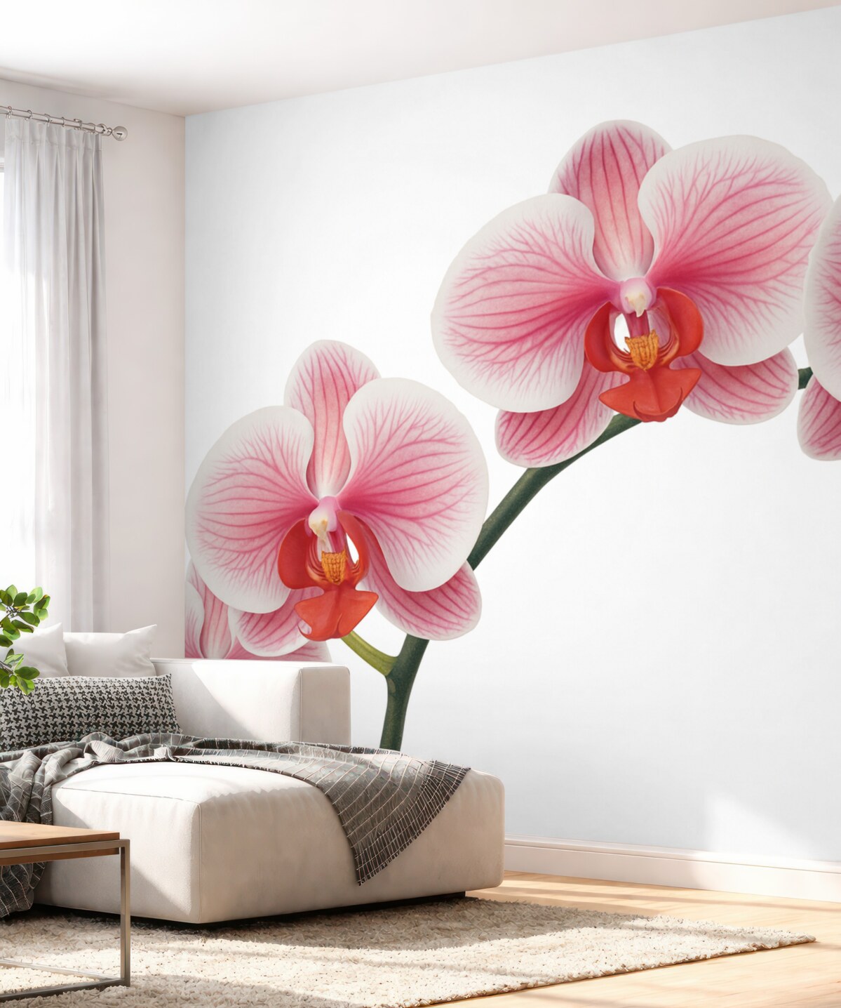 Fototapeta Gałąź kwiatu orchidei.