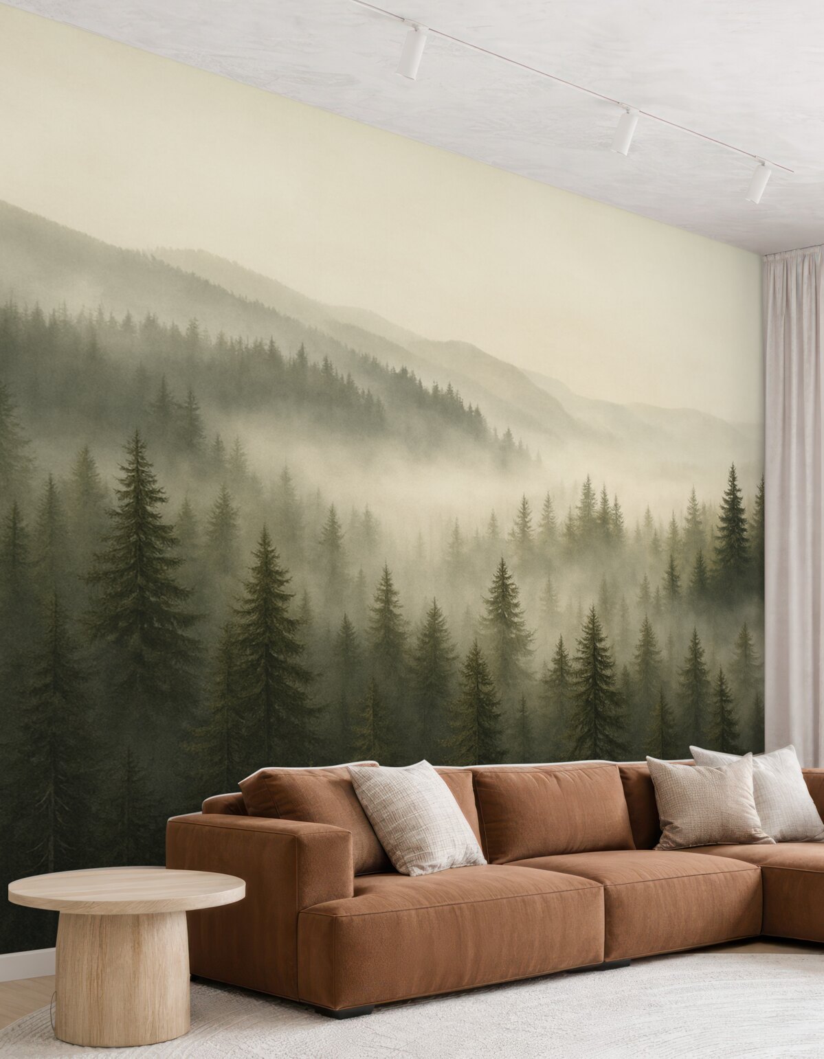 Fototapeta Zamglony las sosnowy.