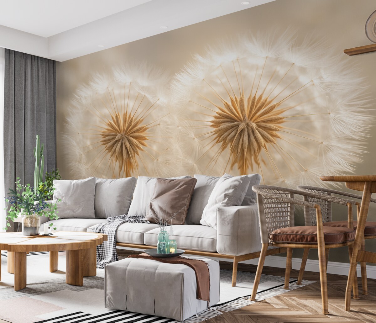 Fototapeta Subtelne mlecze i promienie słoneczne.