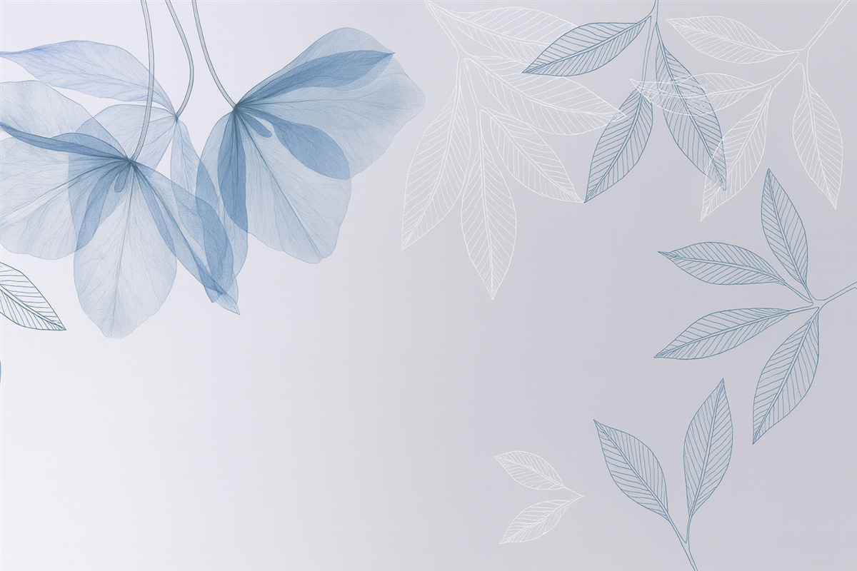 Fototapeta Subtelne półprzezroczyste kwiaty i liście w kolorach niebieskich.