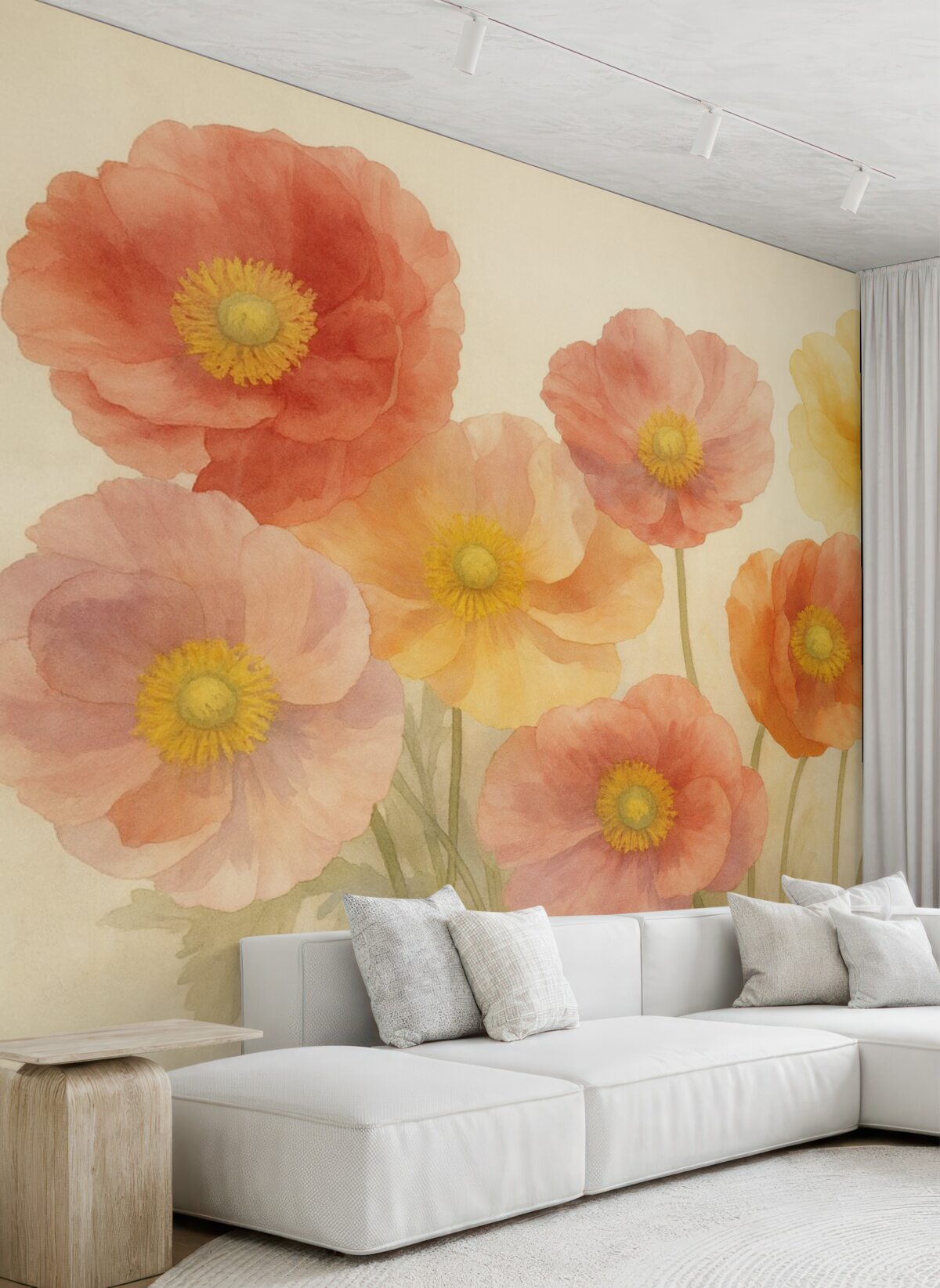 Fototapeta Barwne kwiaty maku.