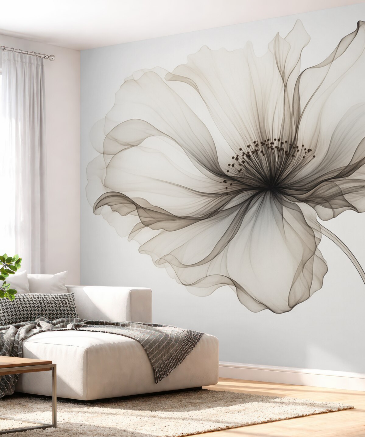 Fototapeta Subtelny, półprzezroczysty kwiatek.