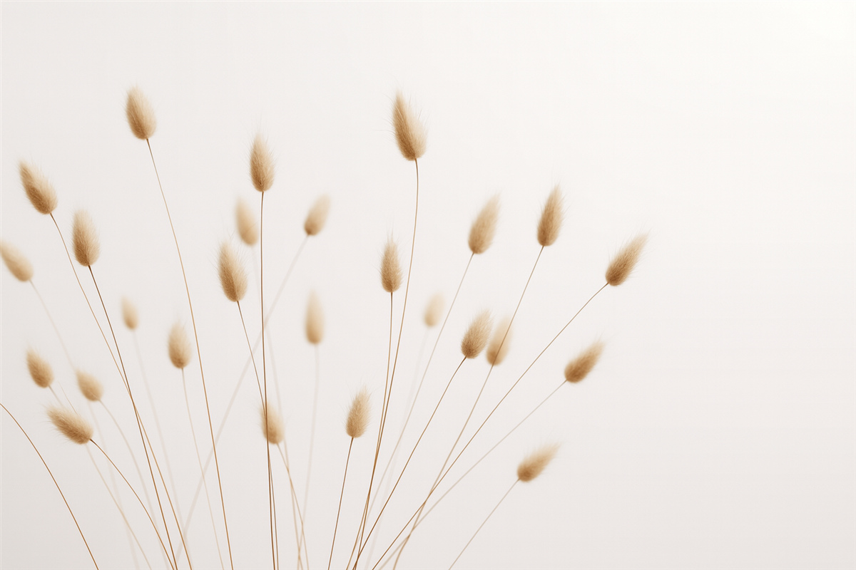 Fototapeta Minimalistyczne pędy z kłosami na jasnym tle.