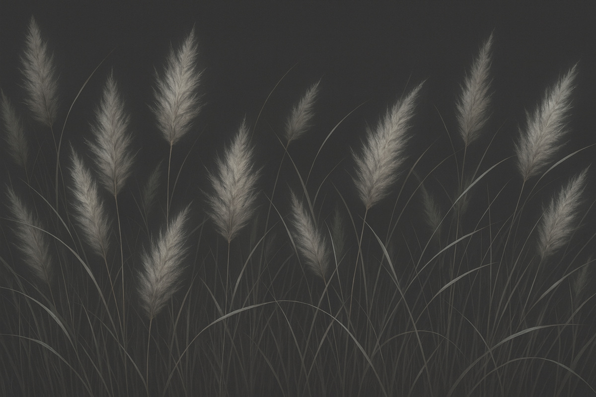 Fototapeta Cienie trzcin.