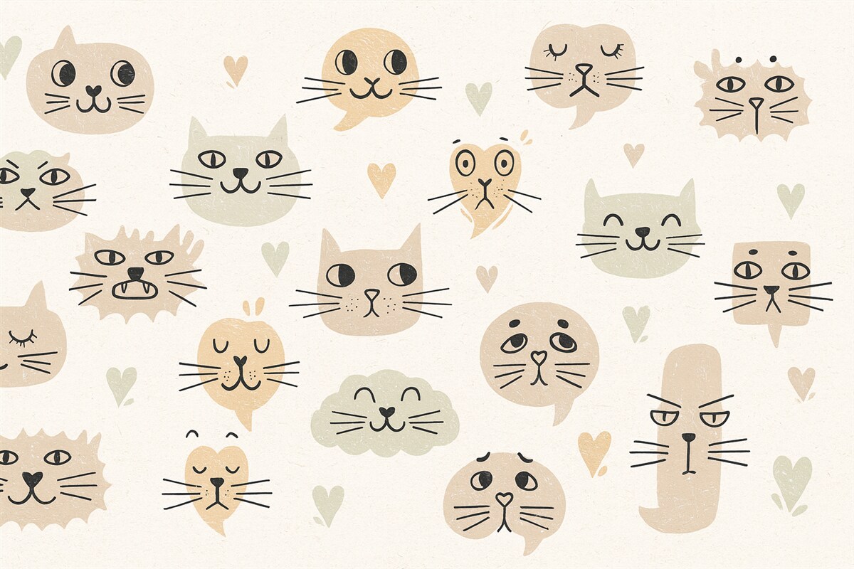 Fototapeta Twarze kotów.