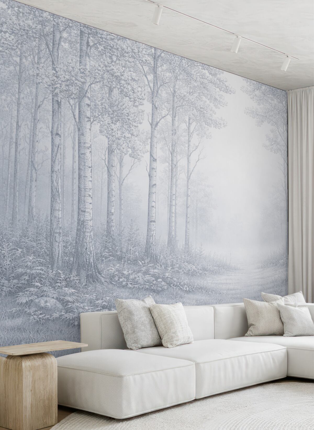 Fototapeta Brzozowy las, prostota, przyroda, niebieska gama barw.