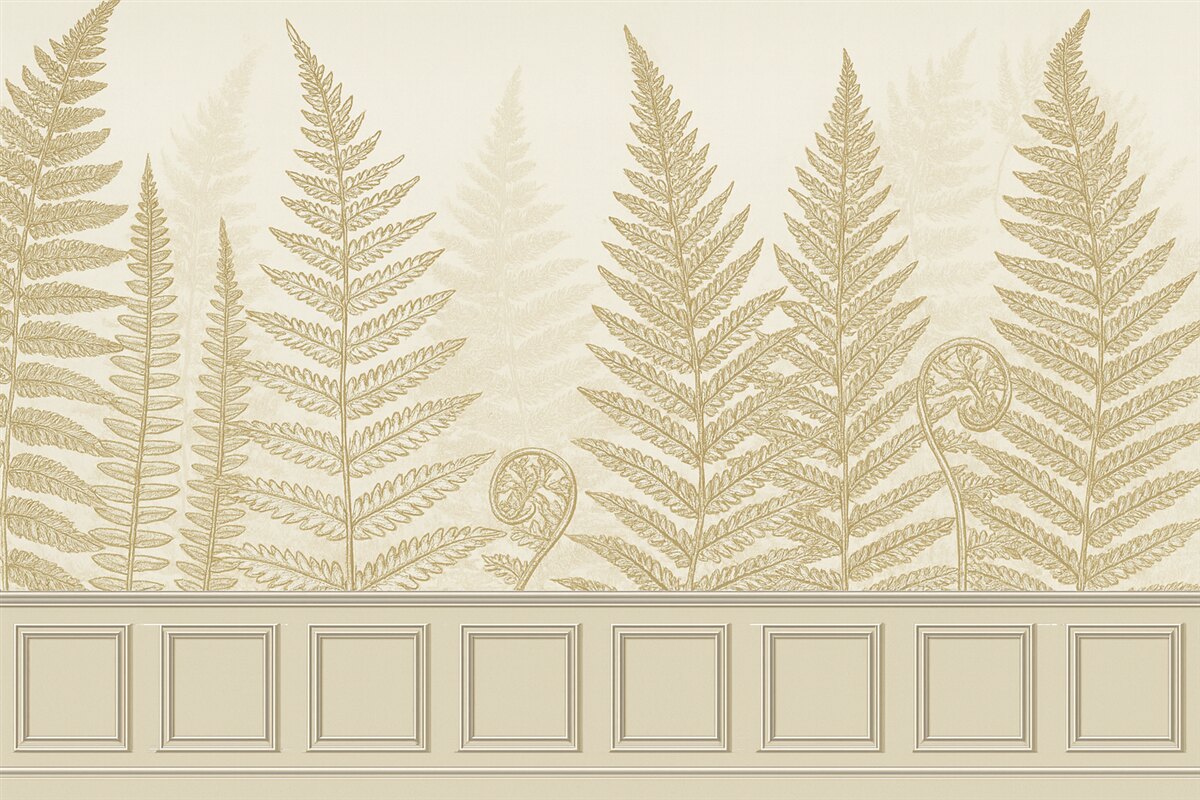 Fototapeta Liście, rośliny, paprocie, światło, botanik, ilustracja.