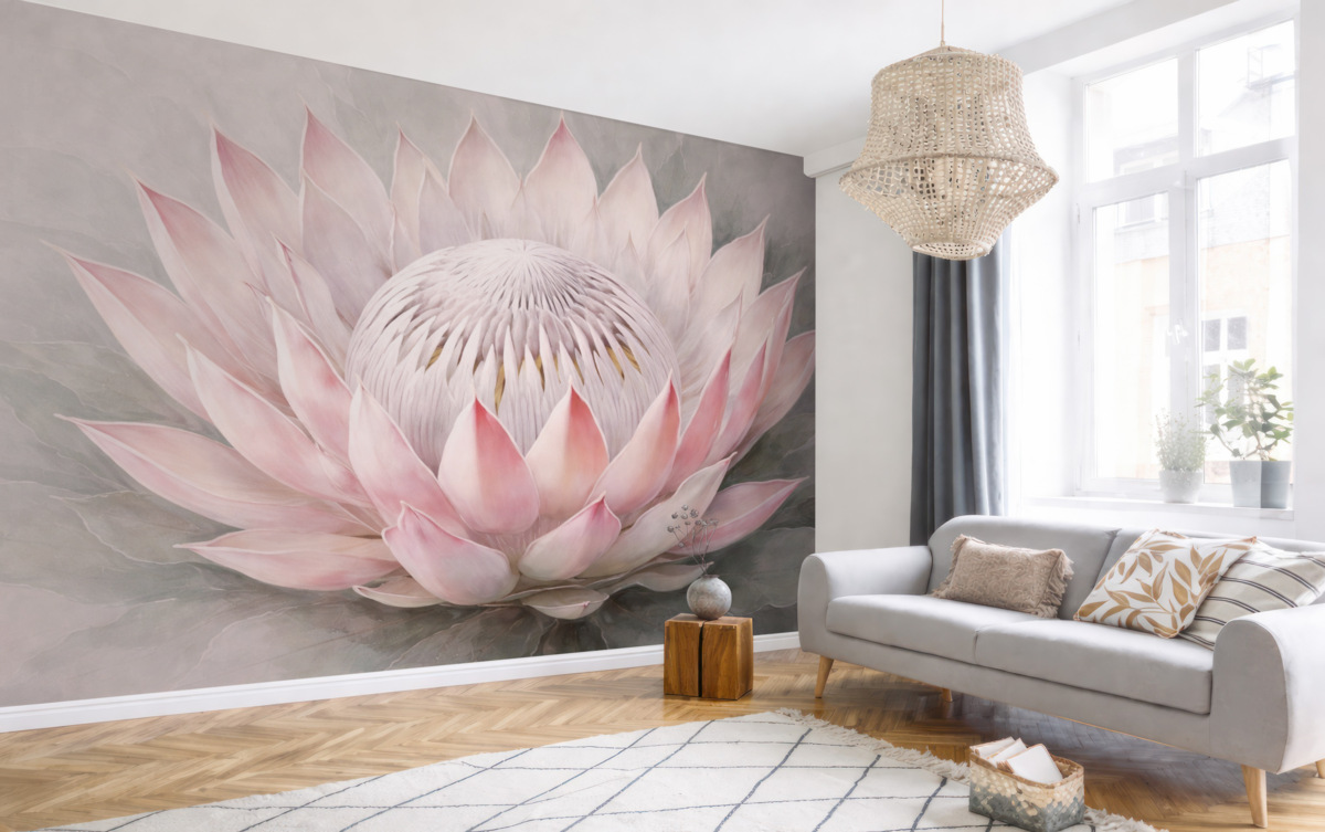 Fototapeta Wielka protea