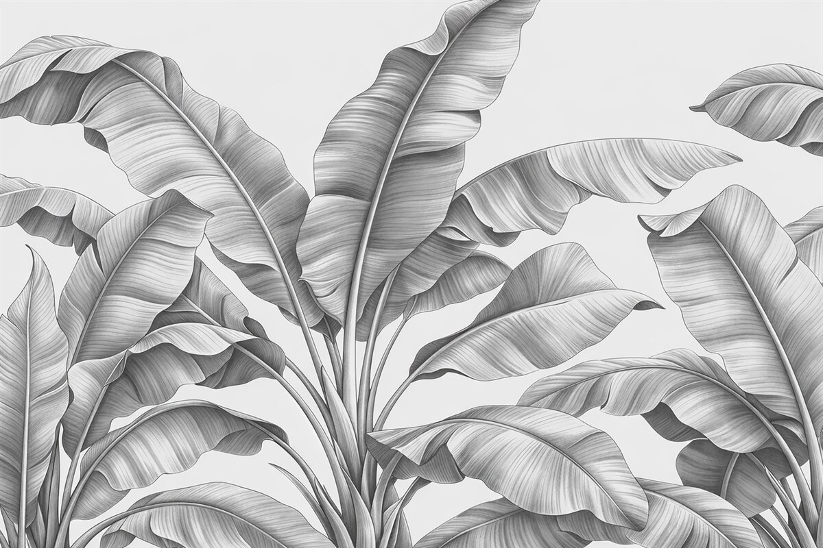Fototapeta Narysowane wielkie liście bananowca w odcieniach szarości.