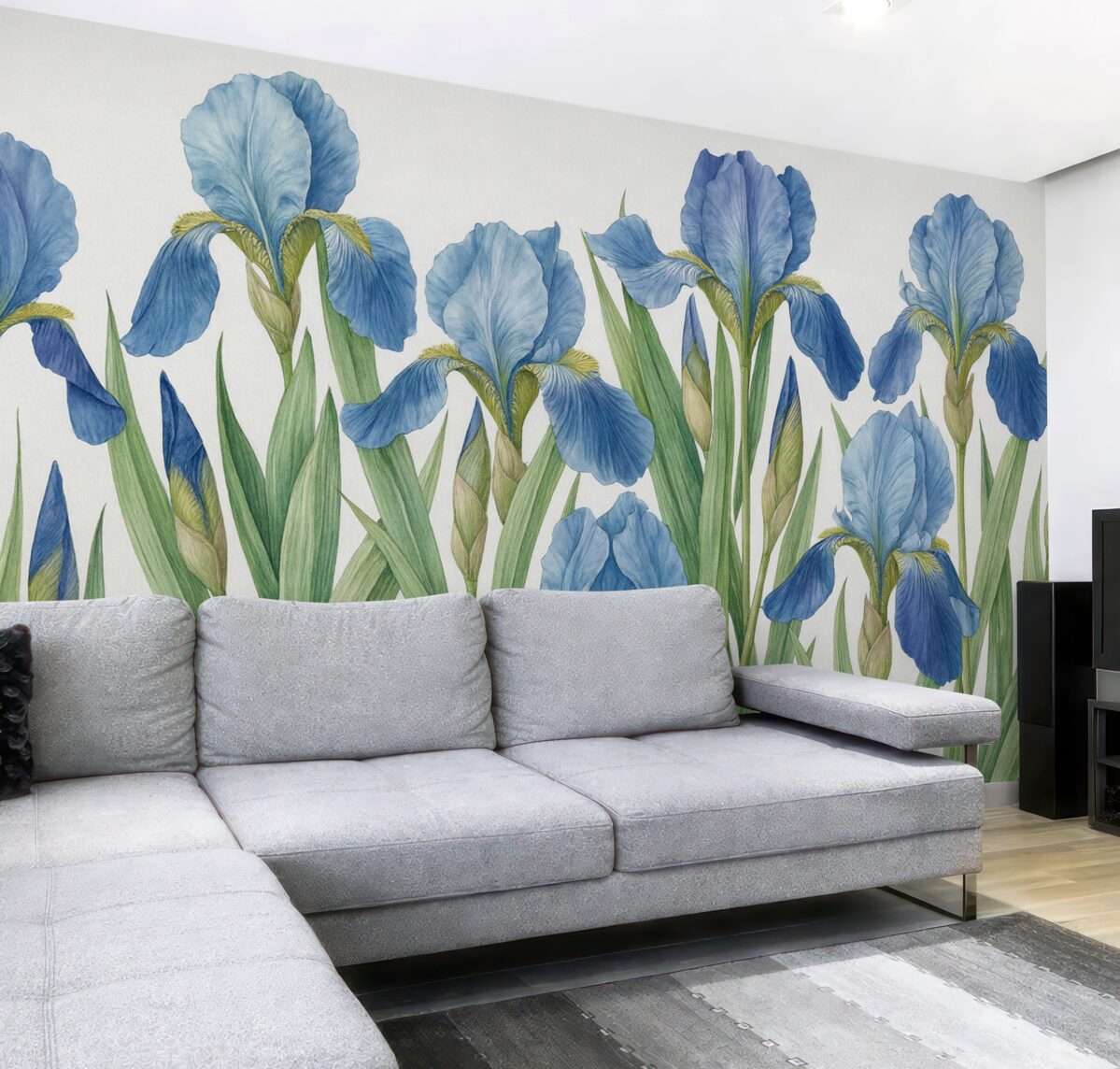 Fototapeta Wielkie malowane irysy na białej betonie.