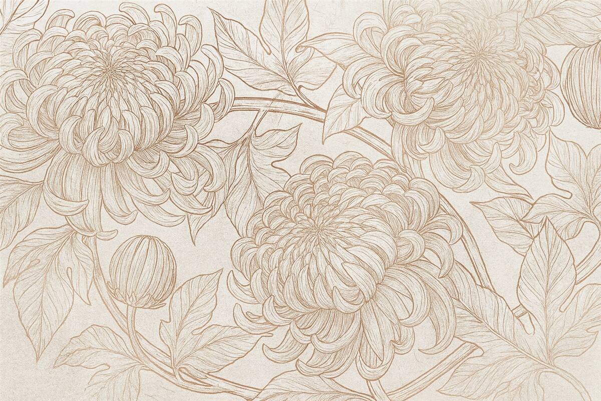 Fototapeta Dokładny szkic linii chryzantem oraz innych dużych kwiatów, z złożonymi wzorami płatków i liści.