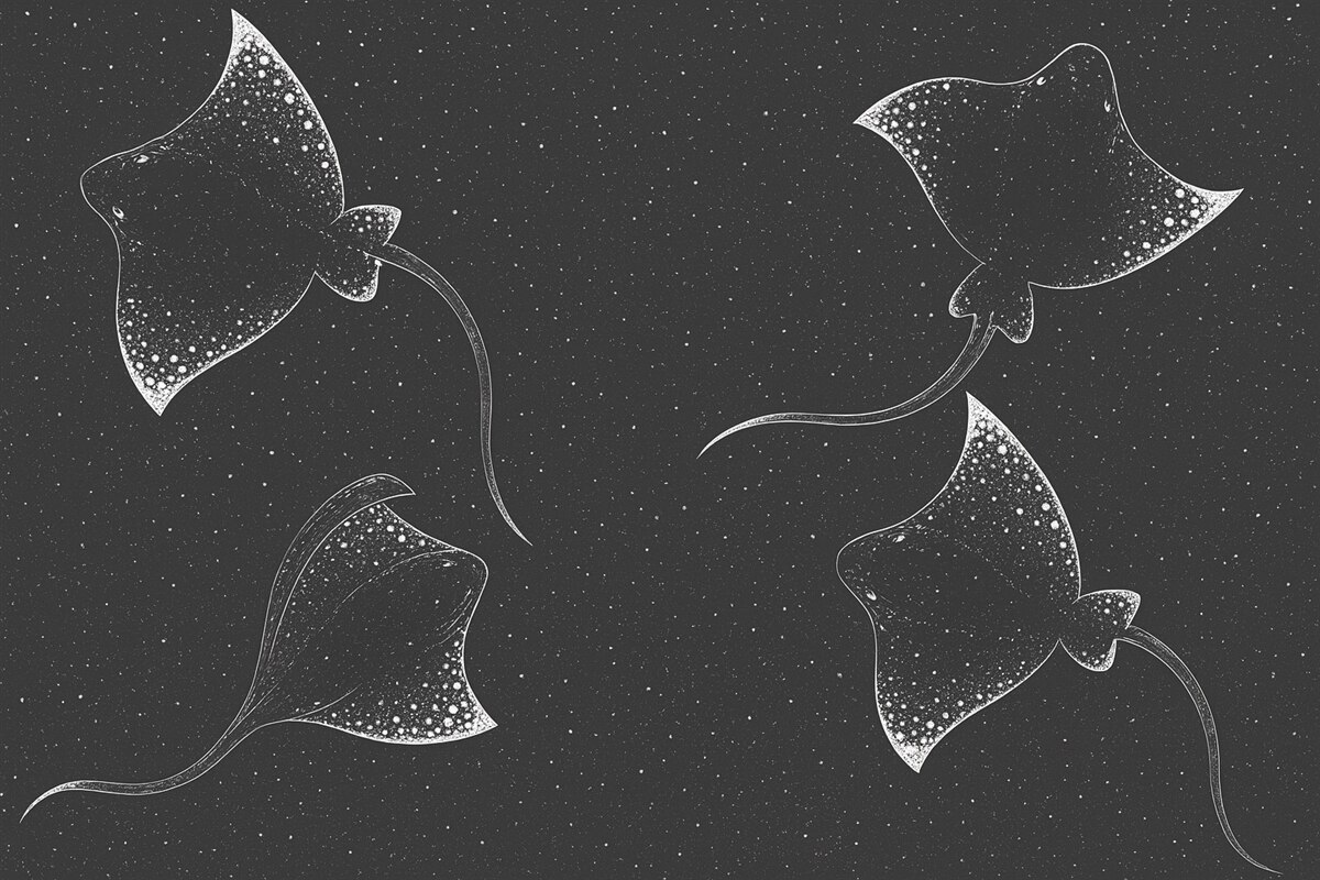 Fototapeta Wielkie płaszczki i plamki.