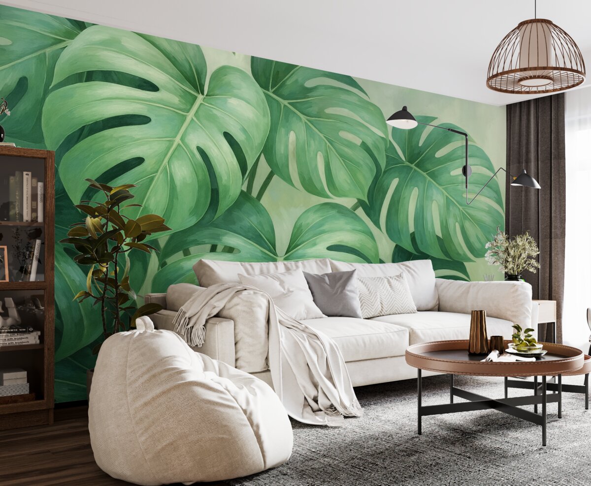 Fototapeta Duże zielone liście tropikalnej monstery.