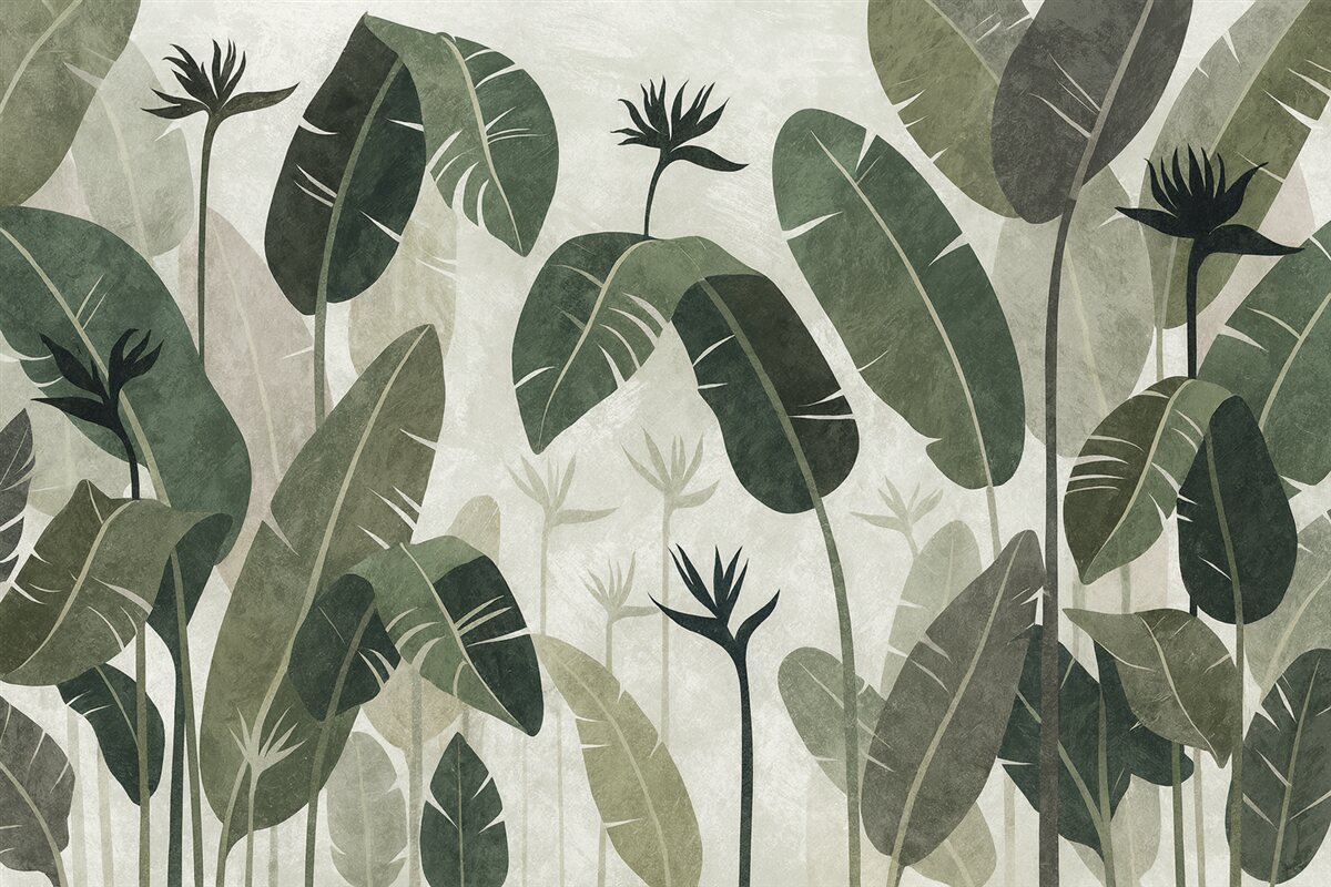 Fototapeta Zielone liście fernów na jasnym tle.