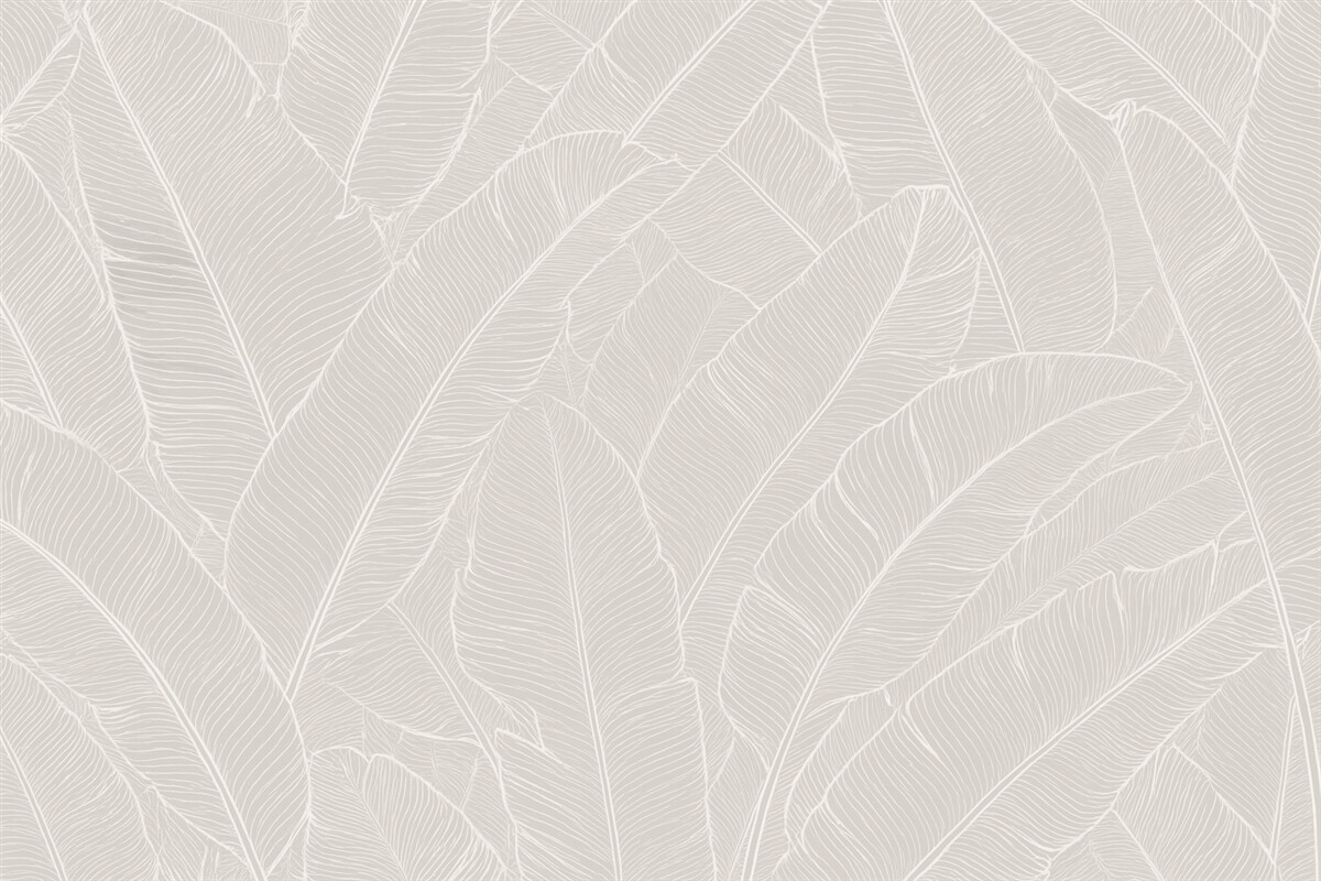 Fototapeta Tropikalne liście banana to nowy trend w minimalizmie.